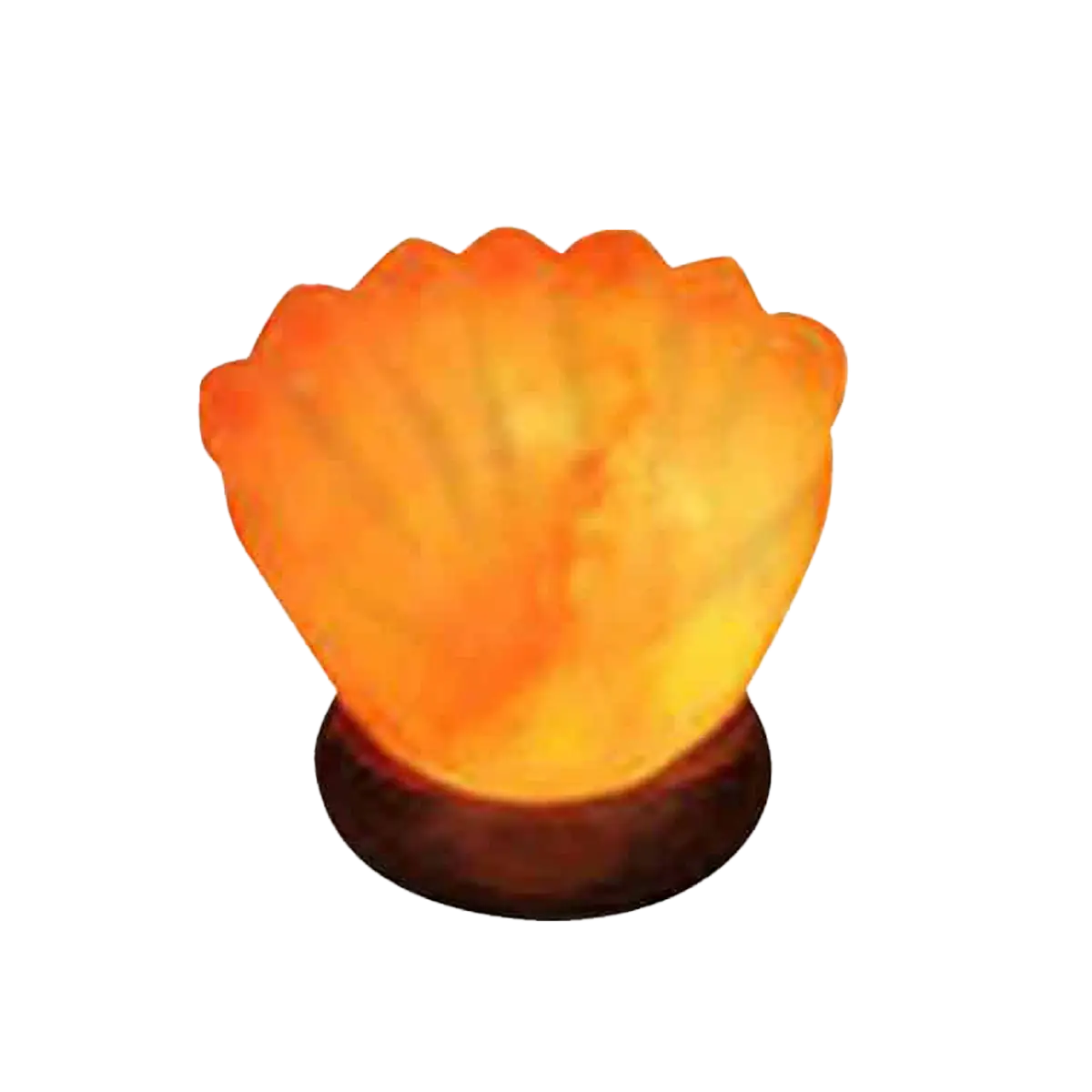 seal shell salt lamps real himalayan salt